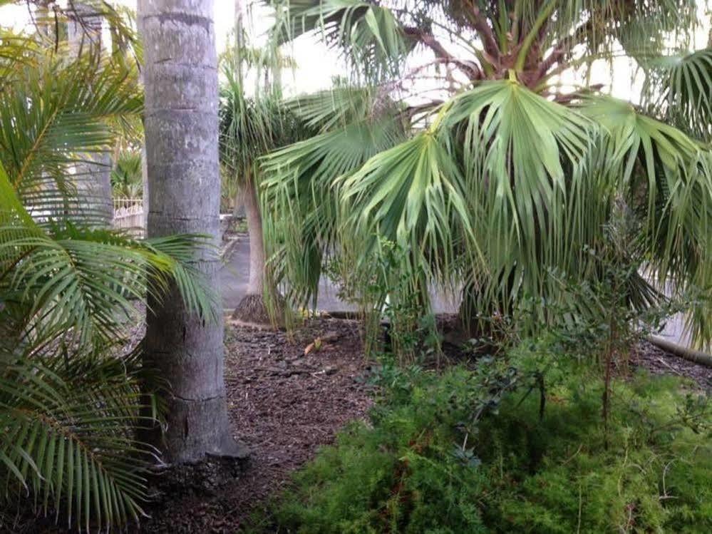 Forster Palms Motel Dış mekan fotoğraf